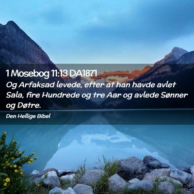 Picture 02 - 1 Mosebog 11:13 DA1871 - Og Arfaksad levede, efter at han havde avlet - Bible Verse Picture