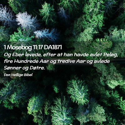 Picture 02 - 1 Mosebog 11:17 DA1871 - Og Eber levede, efter at han havde avlet Peleg, - Bible Verse Picture