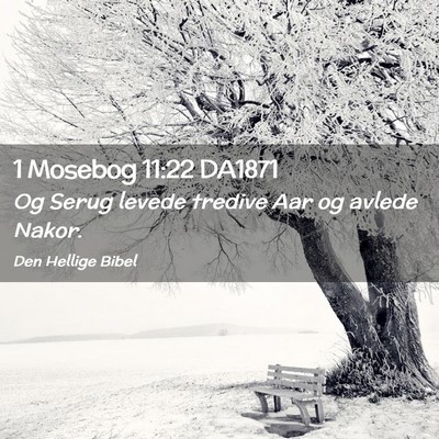 Picture 02 - 1 Mosebog 11:22 DA1871 - Og Serug levede tredive Aar og avlede - Bible Verse Picture