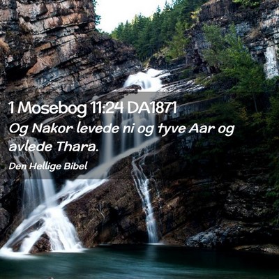 Picture 02 - 1 Mosebog 11:24 DA1871 - Og Nakor levede ni og tyve Aar og avlede - Bible Verse Picture