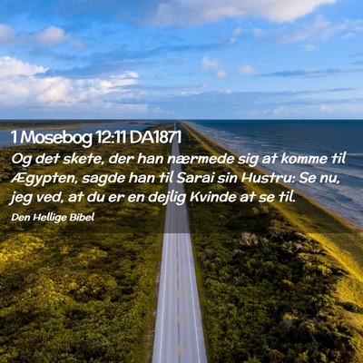 Picture 02 - 1 Mosebog 12:11 DA1871 - Og det skete, der han nærmede sig at komme til - Bible Verse Picture