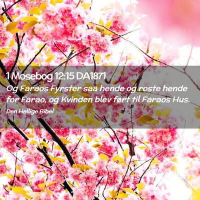 Picture 02 - 1 Mosebog 12:15 DA1871 - Og Faraos Fyrster saa hende og roste hende for - Bible Verse Picture