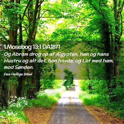 Picture 02 - 1 Mosebog 13:1 DA1871 - Og Abram drog op af Ægypten, han og hans Hustru - Bible Verse Picture