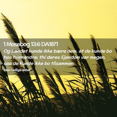 Picture 02 - 1 Mosebog 13:6 DA1871 - Og Landet kunde ikke bære dem, at de kunde bo - Bible Verse Picture