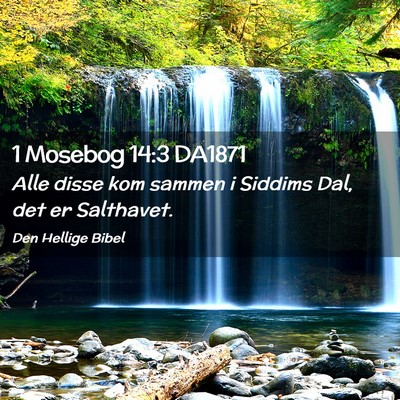 Picture 02 - 1 Mosebog 14:3 DA1871 - Alle disse kom sammen i Siddims Dal, det er - Bible Verse Picture