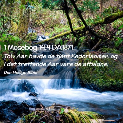 Picture 02 - 1 Mosebog 14:4 DA1871 - Tolv Aar havde de tjent Kedorlaomer, og i det - Bible Verse Picture