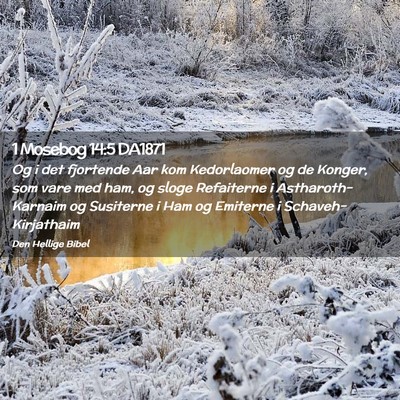 Picture 02 - 1 Mosebog 14:5 DA1871 - Og i det fjortende Aar kom Kedorlaomer og de - Bible Verse Picture