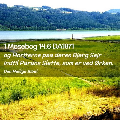 Picture 02 - 1 Mosebog 14:6 DA1871 - og Horiterne paa deres Bjerg Sejr indtil Parans - Bible Verse Picture