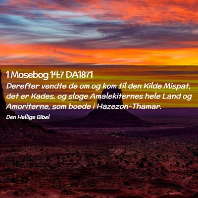 Picture 02 - 1 Mosebog 14:7 DA1871 - Derefter vendte de om og kom til den Kilde - Bible Verse Picture