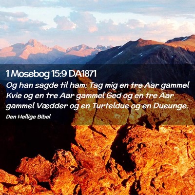 Picture 02 - 1 Mosebog 15:9 DA1871 - Og han sagde til ham: Tag mig en tre Aar gammel - Bible Verse Picture