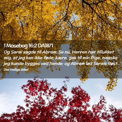 Picture 02 - 1 Mosebog 16:2 DA1871 - Og Sarai sagde til Abram: Se nu, Herren har - Bible Verse Picture