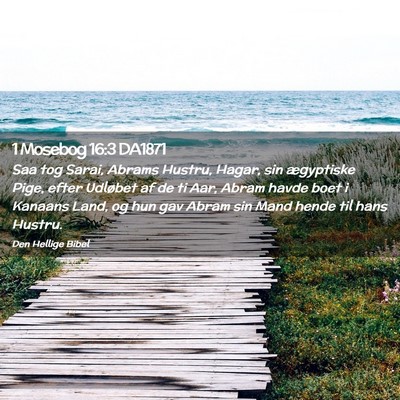 Picture 02 - 1 Mosebog 16:3 DA1871 - Saa tog Sarai, Abrams Hustru, Hagar, sin - Bible Verse Picture