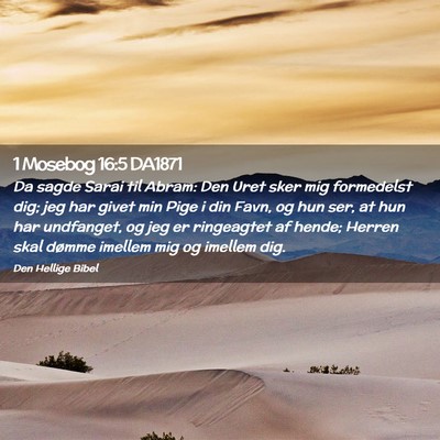 Picture 02 - 1 Mosebog 16:5 DA1871 - Da sagde Sarai til Abram: Den Uret sker mig - Bible Verse Picture