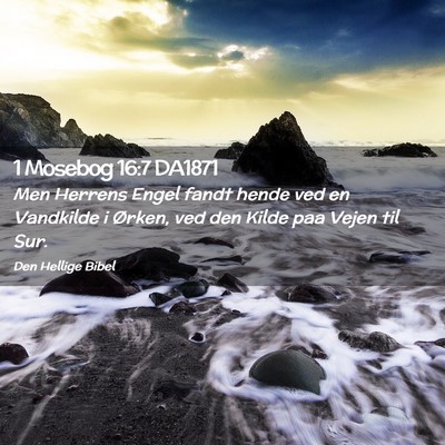 Picture 02 - 1 Mosebog 16:7 DA1871 - Men Herrens Engel fandt hende ved en Vandkilde i - Bible Verse Picture
