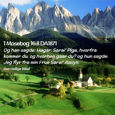 Picture 02 - 1 Mosebog 16:8 DA1871 - Og han sagde: Hagar, Sarai' Pige, hvorfra kommer - Bible Verse Picture