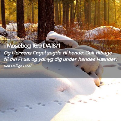 Picture 02 - 1 Mosebog 16:9 DA1871 - Og Herrens Engel sagde til hende: Gak tilbage til - Bible Verse Picture