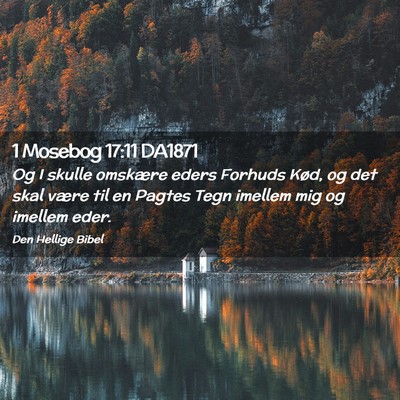 Picture 02 - 1 Mosebog 17:11 DA1871 - Og I skulle omskære eders Forhuds Kød, og det - Bible Verse Picture