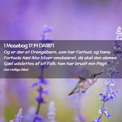 Picture 02 - 1 Mosebog 17:14 DA1871 - Og er der et Drengebarn, som har Forhud, og hans - Bible Verse Picture
