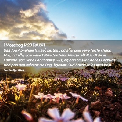Picture 02 - 1 Mosebog 17:23 DA1871 - Saa tog Abraham Ismael, sin Søn, og alle, som - Bible Verse Picture
