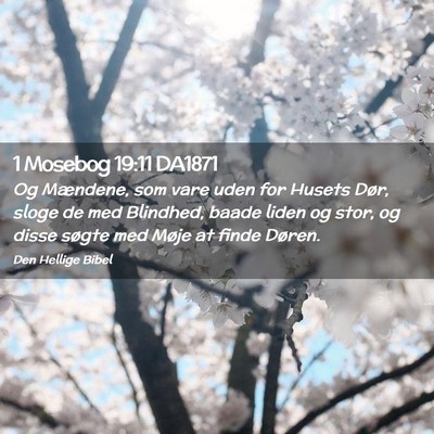 Picture 02 - 1 Mosebog 19:11 DA1871 - Og Mændene, som vare uden for Husets Dør, sloge - Bible Verse Picture