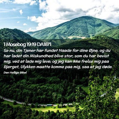 Picture 02 - 1 Mosebog 19:19 DA1871 - Se nu, din Tjener har fundet Naade for dine - Bible Verse Picture