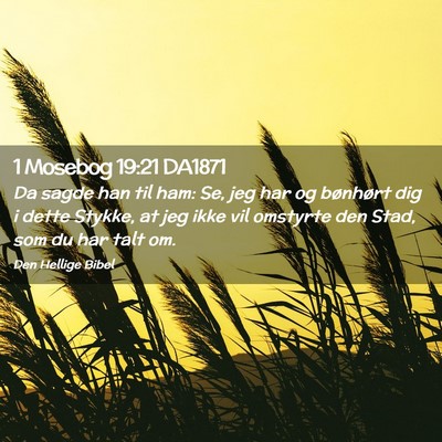 Picture 02 - 1 Mosebog 19:21 DA1871 - Da sagde han til ham: Se, jeg har og bønhørt - Bible Verse Picture