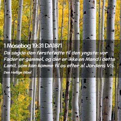 Picture 02 - 1 Mosebog 19:31 DA1871 - Da sagde den førstefødte til den yngste: vor - Bible Verse Picture