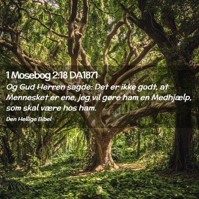 Picture 02 - 1 Mosebog 2:18 DA1871 - Og Gud Herren sagde: Det er ikke godt, at - Bible Verse Picture