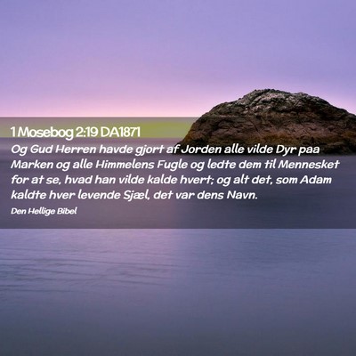 Picture 02 - 1 Mosebog 2:19 DA1871 - Og Gud Herren havde gjort af Jorden alle vilde - Bible Verse Picture
