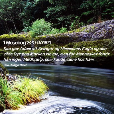 Picture 02 - 1 Mosebog 2:20 DA1871 - Saa gav Adam alt Kvæget og Himmelens Fugle og - Bible Verse Picture