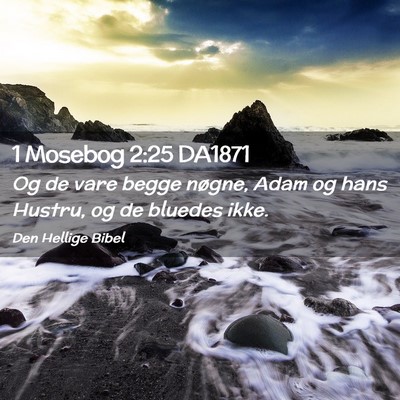 Picture 02 - 1 Mosebog 2:25 DA1871 - Og de vare begge nøgne, Adam og hans Hustru, og - Bible Verse Picture