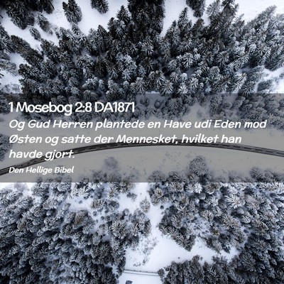 Picture 02 - 1 Mosebog 2:8 DA1871 - Og Gud Herren plantede en Have udi Eden mod - Bible Verse Picture
