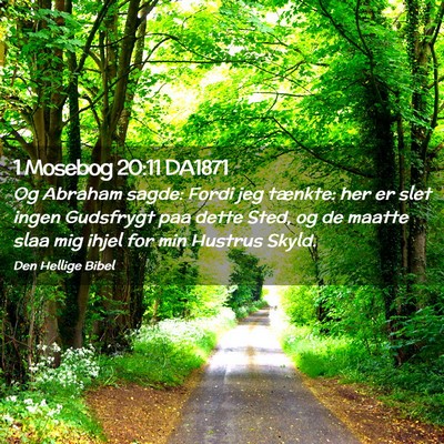 Picture 02 - 1 Mosebog 20:11 DA1871 - Og Abraham sagde: Fordi jeg tænkte: her er slet - Bible Verse Picture