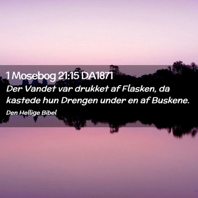 Picture 02 - 1 Mosebog 21:15 DA1871 - Der Vandet var drukket af Flasken, da kastede hun - Bible Verse Picture