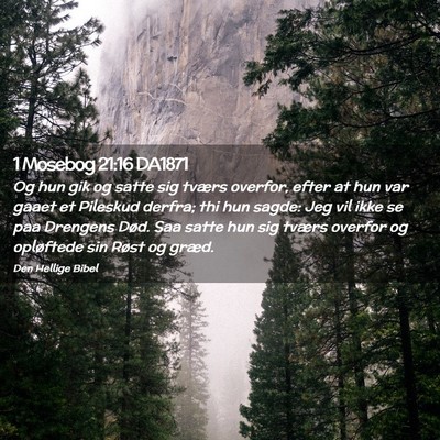 Picture 02 - 1 Mosebog 21:16 DA1871 - Og hun gik og satte sig tværs overfor, efter at - Bible Verse Picture
