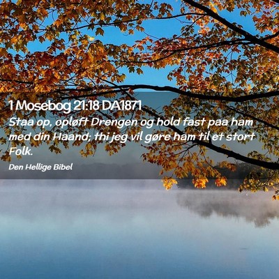 Picture 02 - 1 Mosebog 21:18 DA1871 - Staa op, opløft Drengen og hold fast paa ham med - Bible Verse Picture