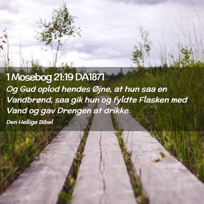 Picture 02 - 1 Mosebog 21:19 DA1871 - Og Gud oplod hendes Øjne, at hun saa en - Bible Verse Picture