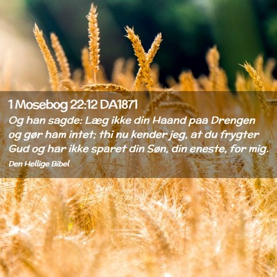 Picture 02 - 1 Mosebog 22:12 DA1871 - Og han sagde: Læg ikke din Haand paa Drengen og - Bible Verse Picture
