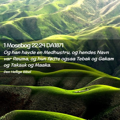 Picture 02 - 1 Mosebog 22:24 DA1871 - Og han havde en Medhustru, og hendes Navn var - Bible Verse Picture