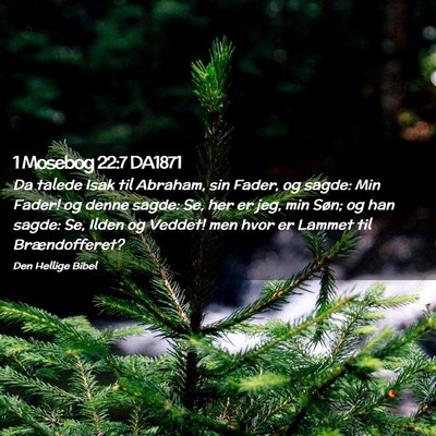 Picture 02 - 1 Mosebog 22:7 DA1871 - Da talede Isak til Abraham, sin Fader, og sagde: - Bible Verse Picture