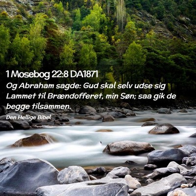 Picture 02 - 1 Mosebog 22:8 DA1871 - Og Abraham sagde: Gud skal selv udse sig Lammet - Bible Verse Picture