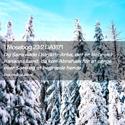 Picture 02 - 1 Mosebog 23:2 DA1871 - Og Sara døde i Kirjath-Arba, det er Hebron i - Bible Verse Picture