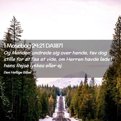 Picture 02 - 1 Mosebog 24:21 DA1871 - Og Manden undrede sig over hende, tav dog stille - Bible Verse Picture