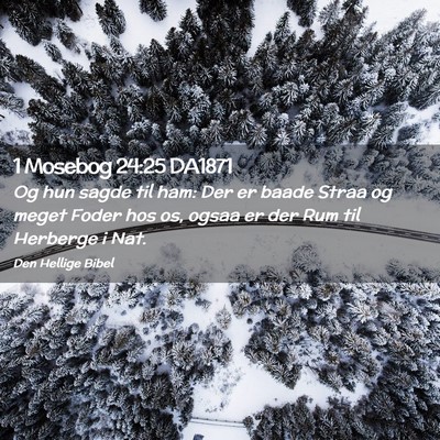 Picture 02 - 1 Mosebog 24:25 DA1871 - Og hun sagde til ham: Der er baade Straa og meget - Bible Verse Picture