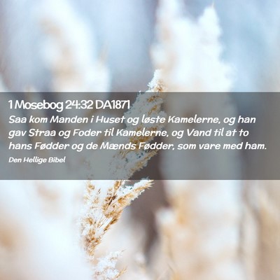 Picture 02 - 1 Mosebog 24:32 DA1871 - Saa kom Manden i Huset og løste Kamelerne, og - Bible Verse Picture