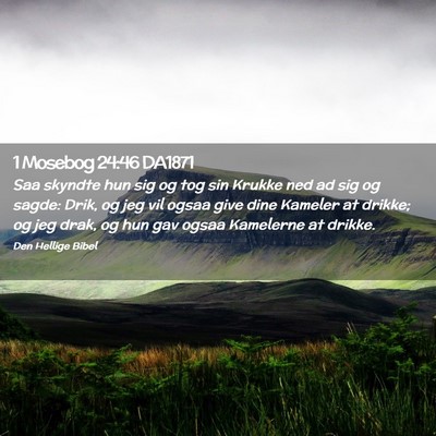 Picture 02 - 1 Mosebog 24:46 DA1871 - Saa skyndte hun sig og tog sin Krukke ned ad sig - Bible Verse Picture