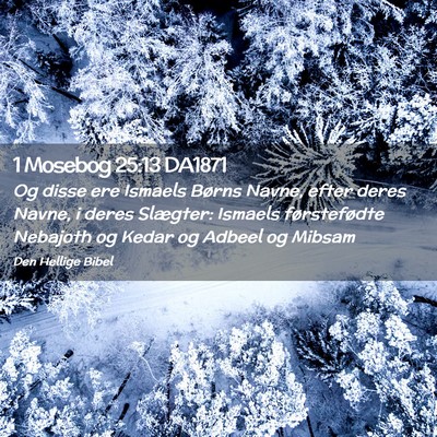 Picture 02 - 1 Mosebog 25:13 DA1871 - Og disse ere Ismaels Børns Navne, efter deres - Bible Verse Picture