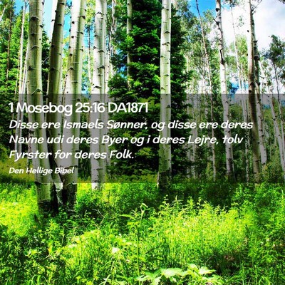 Picture 02 - 1 Mosebog 25:16 DA1871 - Disse ere Ismaels Sønner, og disse ere deres - Bible Verse Picture