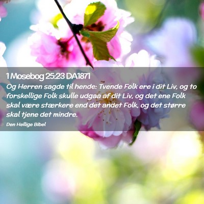 Picture 02 - 1 Mosebog 25:23 DA1871 - Og Herren sagde til hende: Tvende Folk ere i dit - Bible Verse Picture