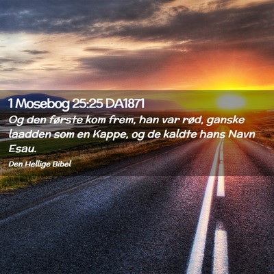 Picture 02 - 1 Mosebog 25:25 DA1871 - Og den første kom frem, han var rød, ganske - Bible Verse Picture